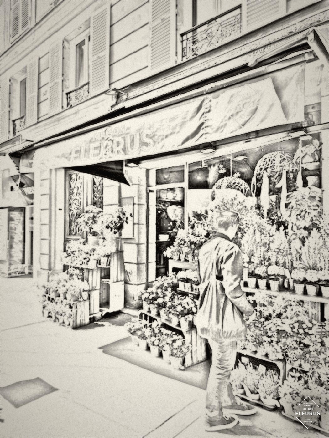 Devanture Maison Fleurus — Marais, croquis au fusain
